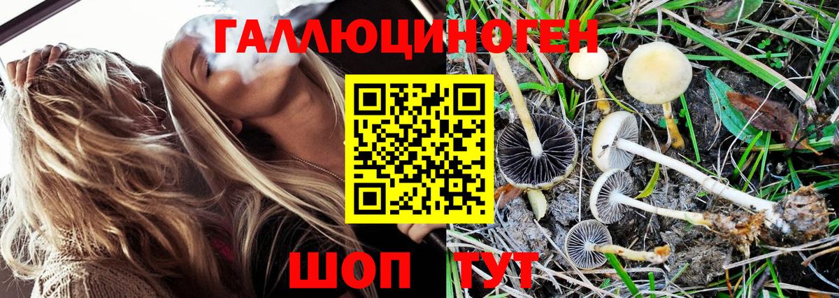 Псилоцибиновые грибы MAGIC MUSHROOMS Симферополь